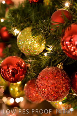 September 2020 / AD_ARCADE_ELFS_200928_299