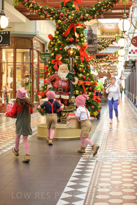 November 2020 / ELFS_201102_037