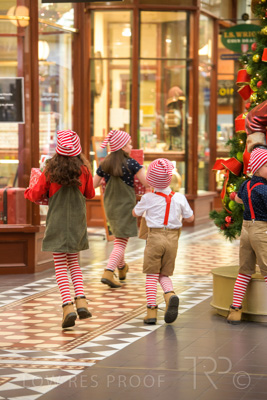 November 2020 / ELFS_201102_040