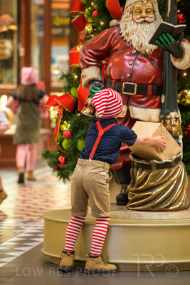 November 2020 / ELFS_201102_045