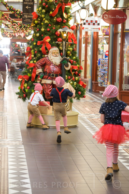 November 2020 / ELFS_201102_058