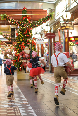 November 2020 / ELFS_201102_061