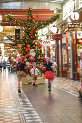 November 2020 / ELFS_201102_063