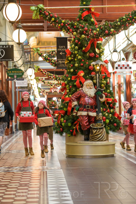 November 2020 / ELFS_201102_065