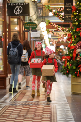 November 2020 / ELFS_201102_066