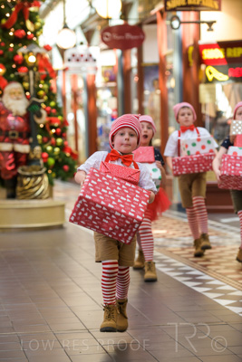 November 2020 / ELFS_201102_070