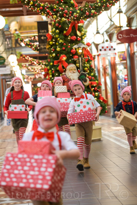 November 2020 / ELFS_201102_077