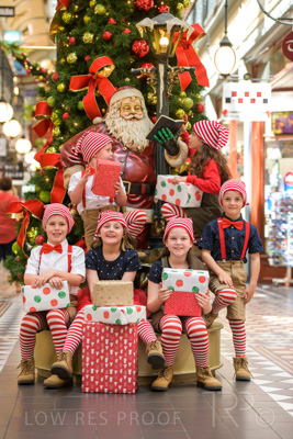 November 2020 / ELFS_201102_106