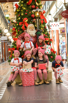 November 2020 / ELFS_201102_135