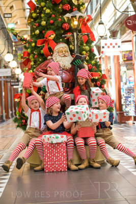 November 2020 / ELFS_201102_139