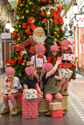 November 2020 / ELFS_201102_144