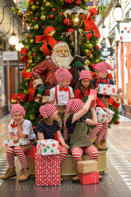 November 2020 / ELFS_201102_145