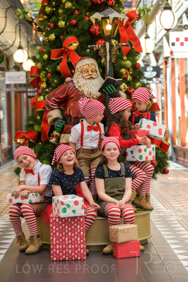 November 2020 / ELFS_201102_147