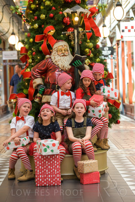 November 2020 / ELFS_201102_148