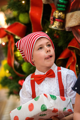 November 2020 / ELFS_201102_155