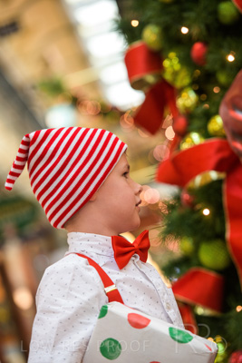 November 2020 / ELFS_201102_176