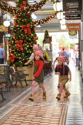 November 2020 / ELFS_201102_195