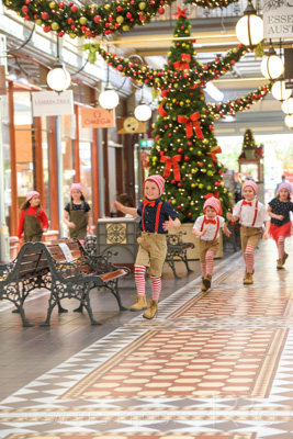 November 2020 / ELFS_201102_204