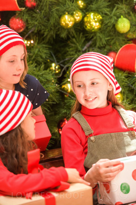 November 2020 / ELFS_201102_228