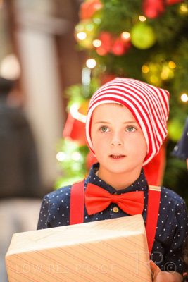 November 2020 / ELFS_201102_233