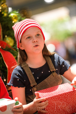 November 2020 / ELFS_201102_272