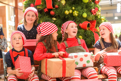 November 2020 / ELFS_201102_305