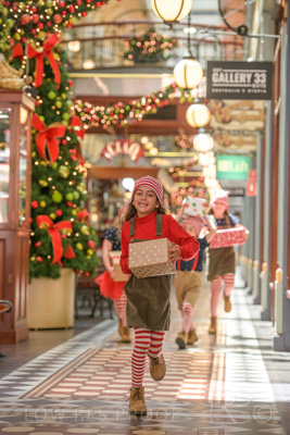 November 2020 / ELFS_201102_346