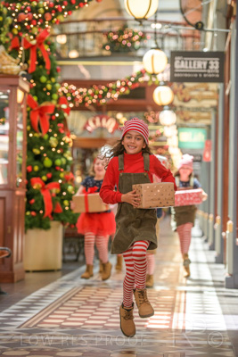 November 2020 / ELFS_201102_347