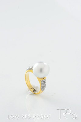 October 2022 / AD-ARCADE_486_221011