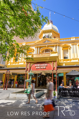 October 2023 / AD-ARCADE-231010_Z9C8599