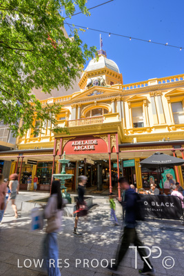 October 2023 / AD-ARCADE-231010_Z9C8604