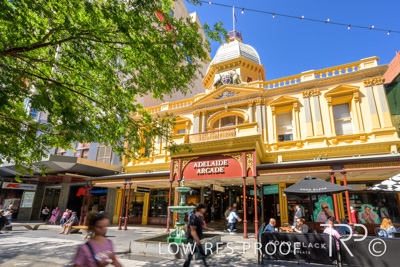 October 2023 / AD-ARCADE-231010_Z9C8644