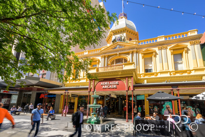 October 2023 / AD-ARCADE-231010_Z9C8659