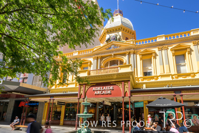 October 2023 / AD-ARCADE-231010_Z9C8679