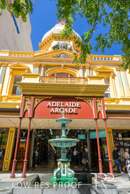 October 2023 / AD-ARCADE-231010_Z9C8724