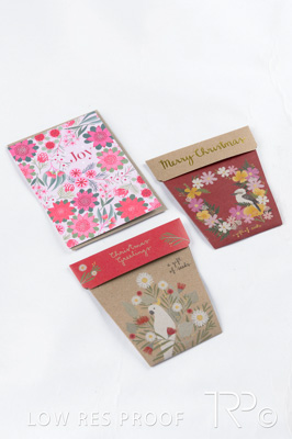 October 2024 / AdArc-251