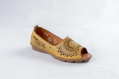 October 2024 / AdArc-244