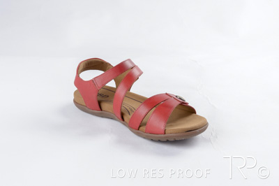 October 2024 / AdArc-246