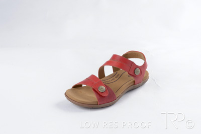 October 2024 / AdArc-248