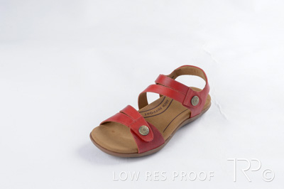 October 2024 / AdArc-249