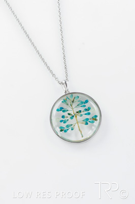 October 2024 / AdArc-338