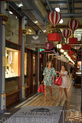 November 2024 / Ad-Arc-241104-_Z9C0021