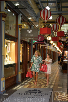 November 2024 / Ad-Arc-241104-_Z9C0028