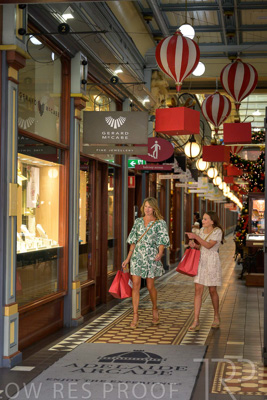 November 2024 / Ad-Arc-241104-_Z9C0133