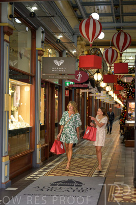 November 2024 / Ad-Arc-241104-_Z9C0137