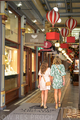 November 2024 / Ad-Arc-241104-_Z9C0215