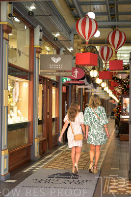 November 2024 / Ad-Arc-241104-_Z9C0219