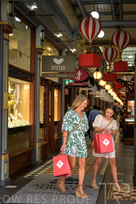 November 2024 / Ad-Arc-241104-_Z9C0275