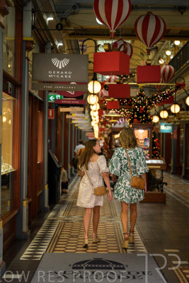 November 2024 / Ad-Arc-241104-_Z9C0474