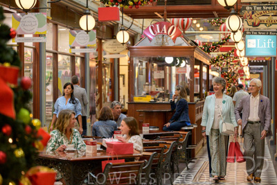 November 2024 / Ad-Arc-241104-_Z9C1315